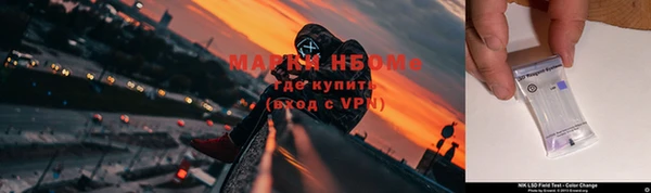 бошки Бородино