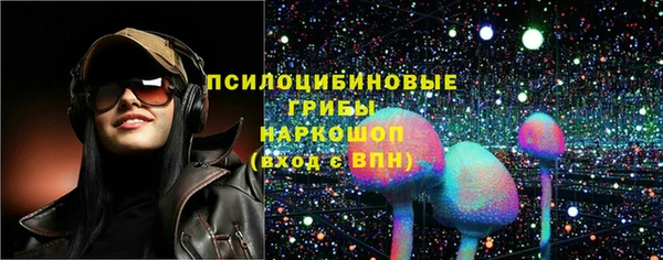 бошки Бородино