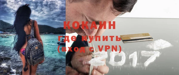бошки Бородино